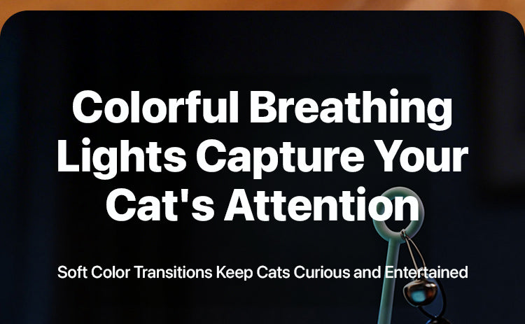 Smart Rotating Cat Teaser